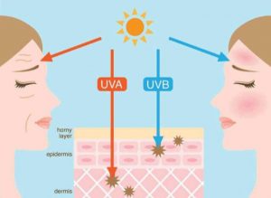 Know More About The UV Sensor - Renke