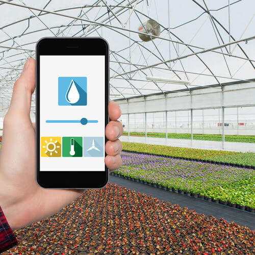 5 tips for temperature control in your growing environment - Greenhouse  Management
