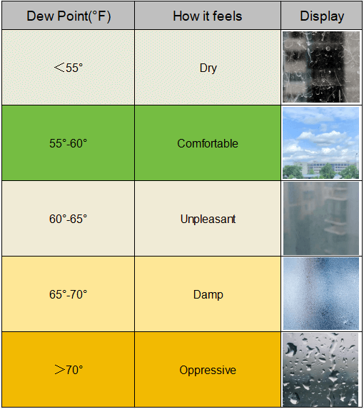 Autumn and condensation: the dew point