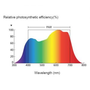 photosynthetically active radiation