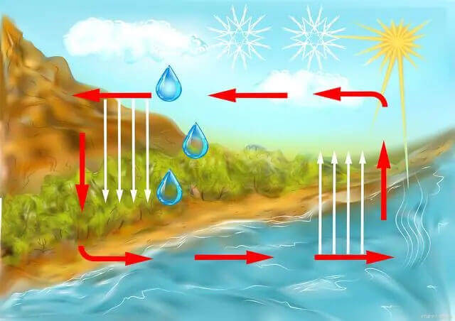 Water cycle